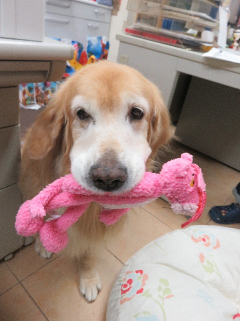 ファイル 5344-5.jpg