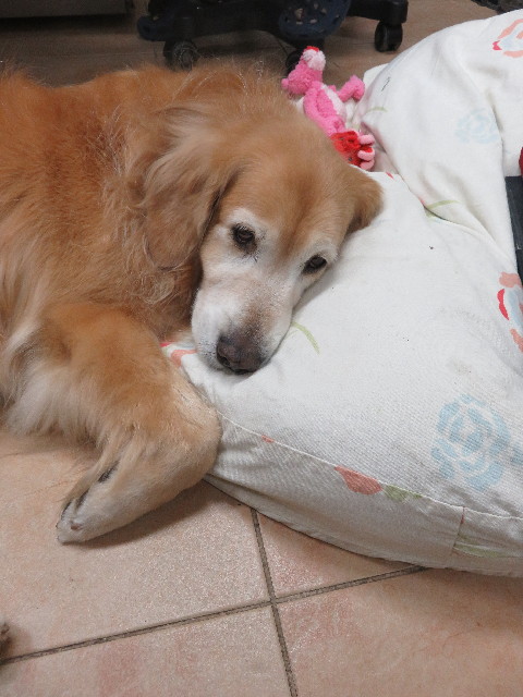 ファイル 5345-3.jpg