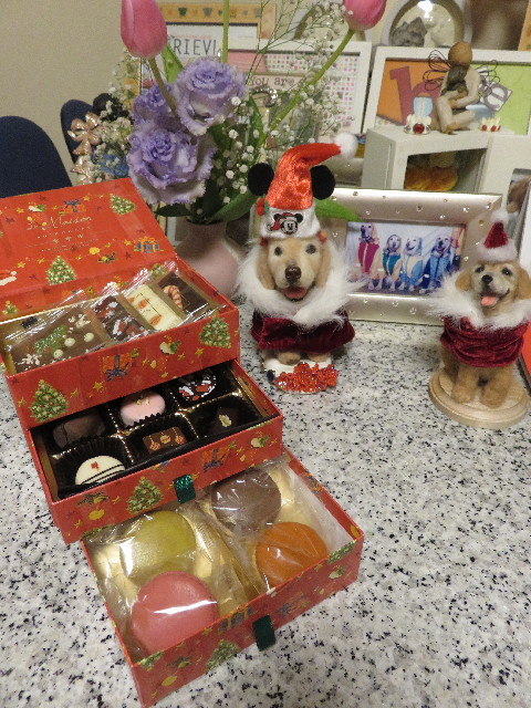 ファイル 5347-2.jpg