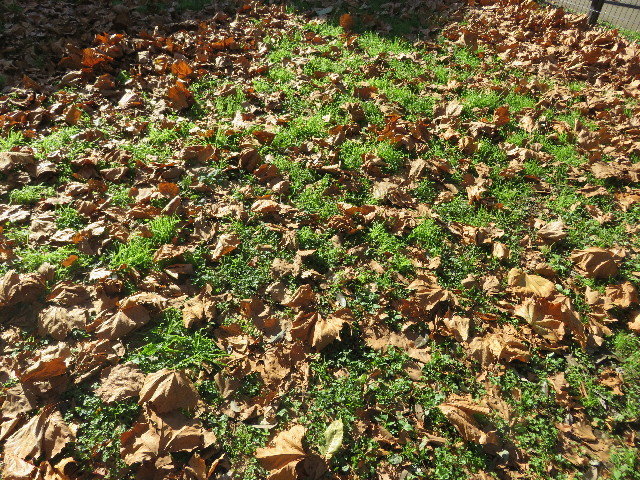 ファイル 5347-3.jpg