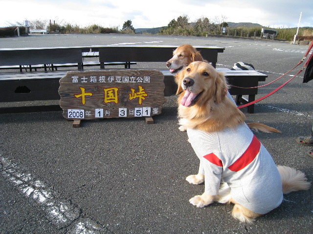 ファイル 535-1.jpg