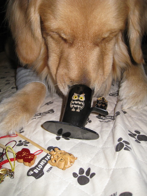 ファイル 535-5.jpg