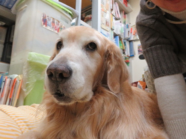 ファイル 5350-4.jpg