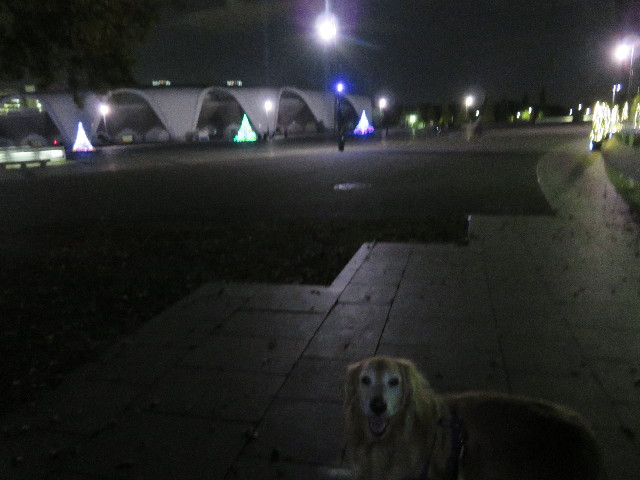 ファイル 5352-1.jpg