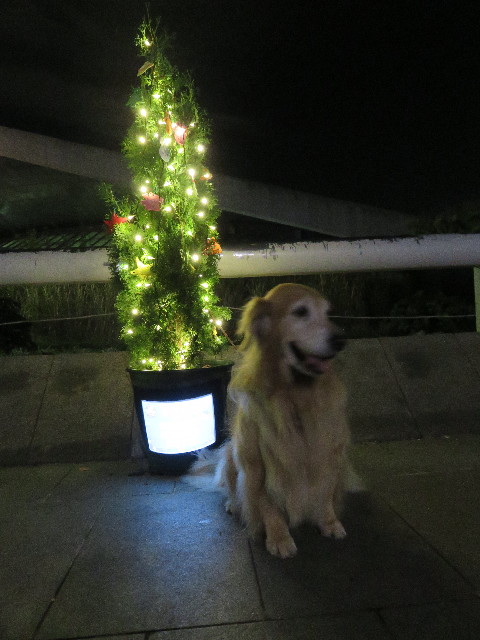 ファイル 5352-2.jpg