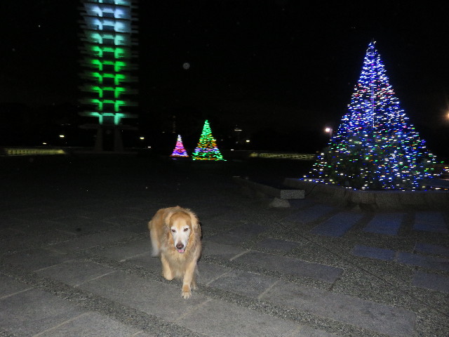 ファイル 5352-5.jpg