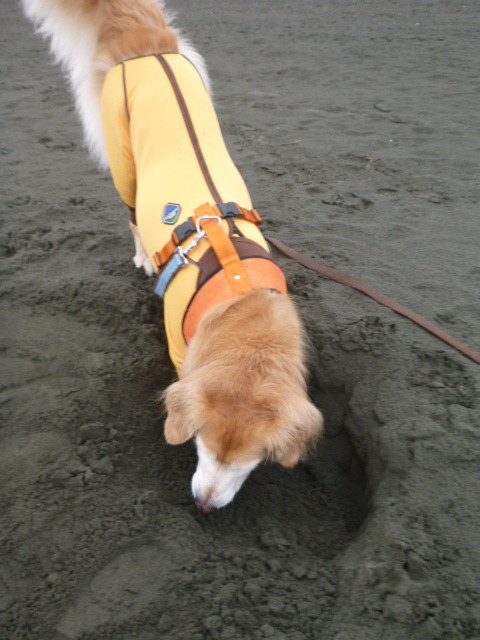 ファイル 5354-4.jpg