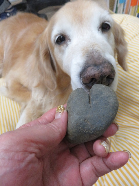 ファイル 5355-4.jpg