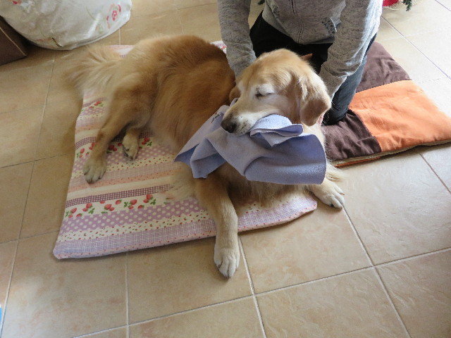 ファイル 5355-5.jpg