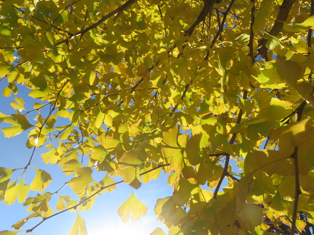 ファイル 5358-2.jpg