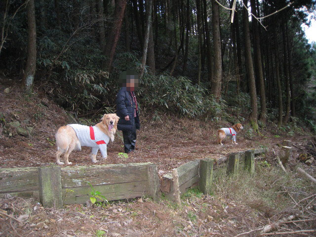 ファイル 536-1.jpg