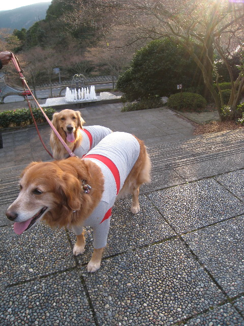 ファイル 536-5.jpg