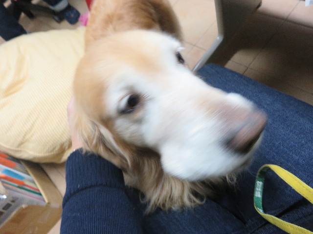 ファイル 5360-2.jpg