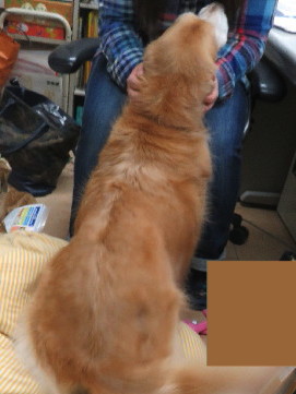 ファイル 5360-4.jpg