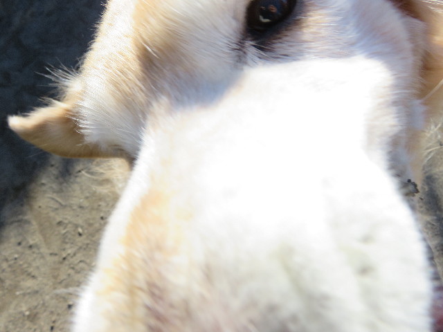 ファイル 5360-5.jpg