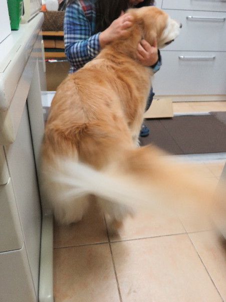 ファイル 5361-4.jpg