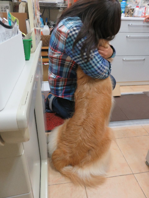 ファイル 5361-5.jpg