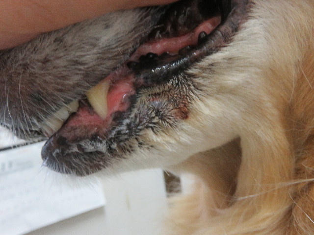 ファイル 5364-3.jpg