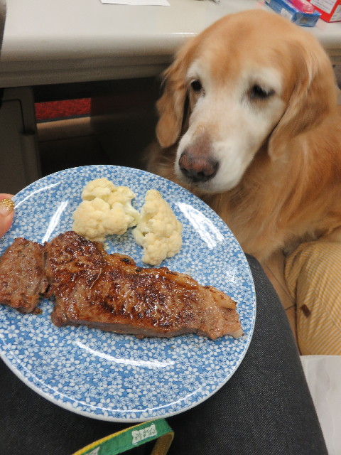 ファイル 5364-5.jpg