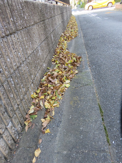 ファイル 5365-2.jpg