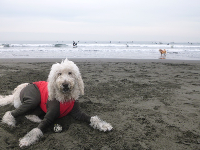 ファイル 5367-1.jpg