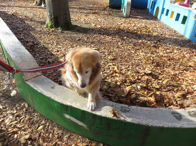 ファイル 5368-2.jpg