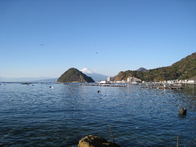 ファイル 537-1.jpg