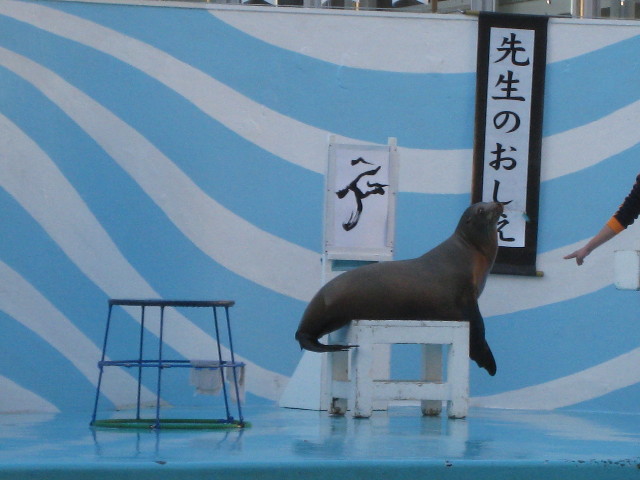 ファイル 537-2.jpg