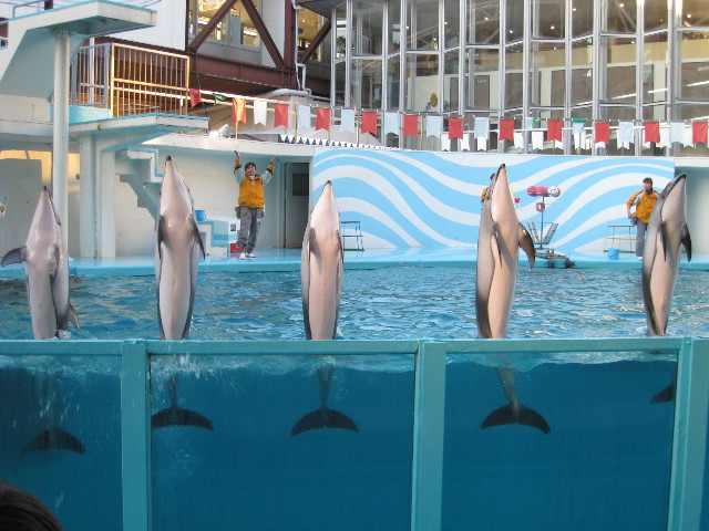 ファイル 537-4.jpg