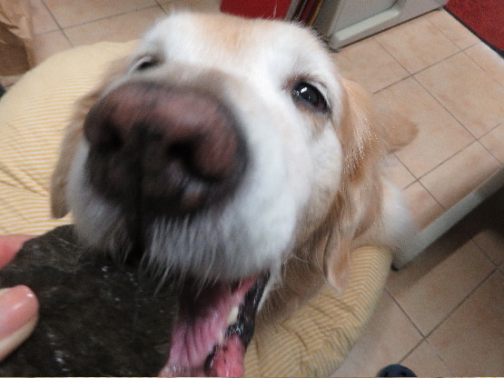 ファイル 5370-5.jpg