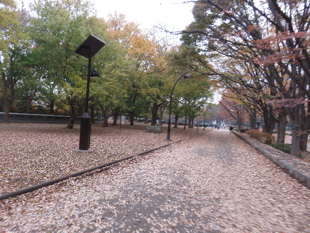 ファイル 5371-2.jpg