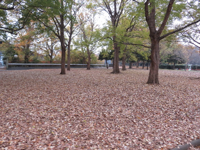 ファイル 5371-3.jpg