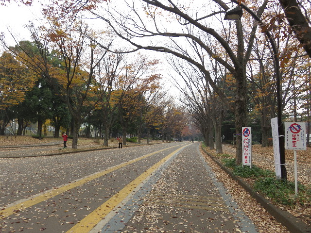 ファイル 5371-4.jpg