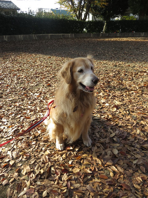 ファイル 5371-5.jpg