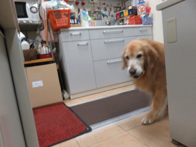 ファイル 5372-2.jpg