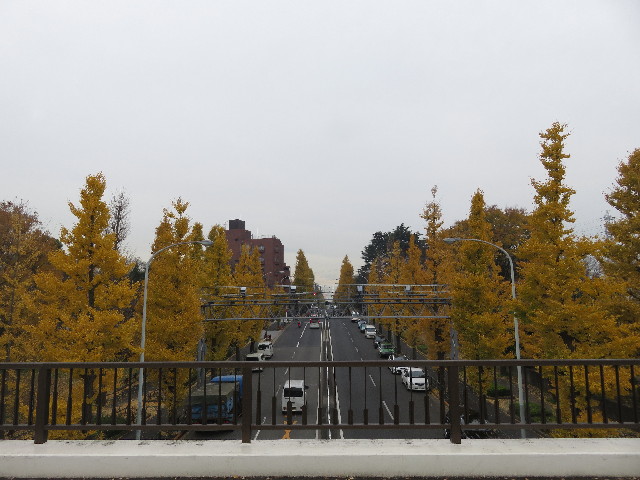 ファイル 5373-1.jpg