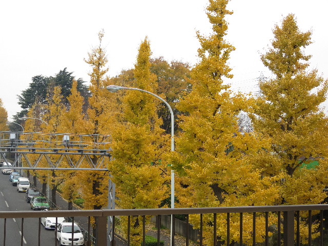 ファイル 5373-2.jpg