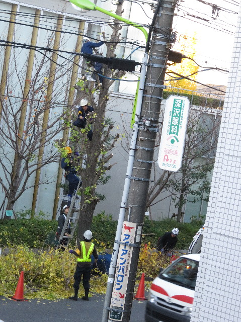 ファイル 5373-4.jpg