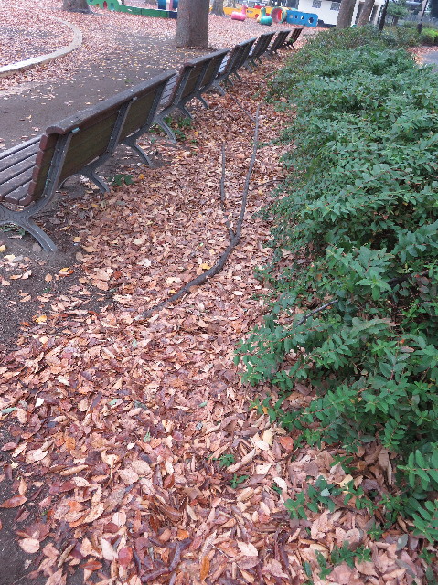 ファイル 5374-2.jpg