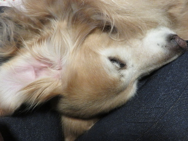 ファイル 5374-5.jpg