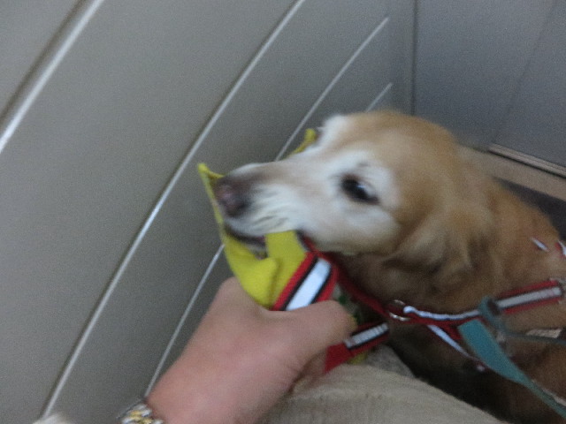 ファイル 5377-1.jpg