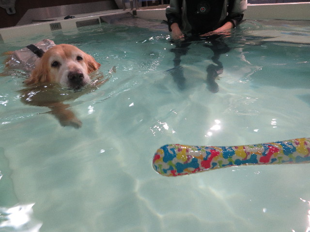 ファイル 5377-3.jpg