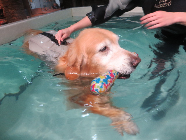 ファイル 5377-4.jpg