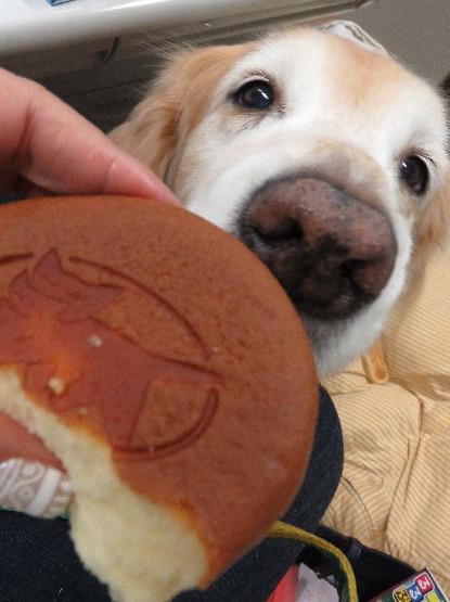 ファイル 5381-4.jpg