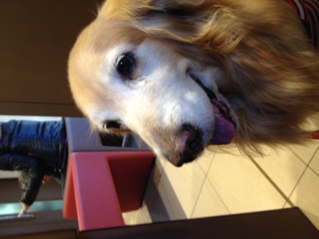 ファイル 5384-1.jpg