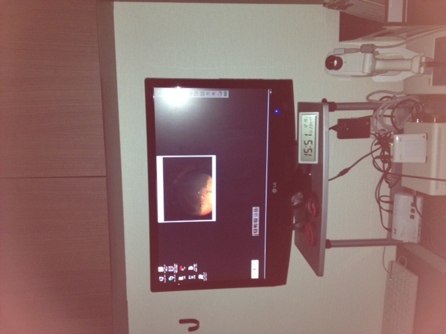 ファイル 5384-2.jpg