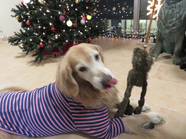 ファイル 5384-3.jpg