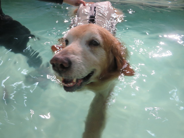 ファイル 5387-3.jpg