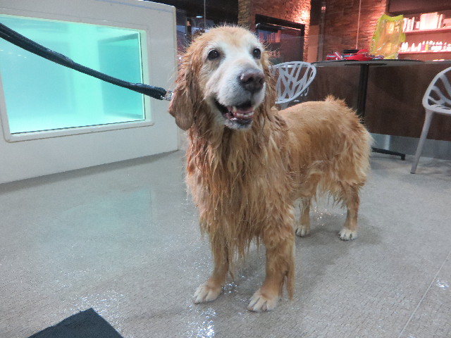 ファイル 5387-5.jpg