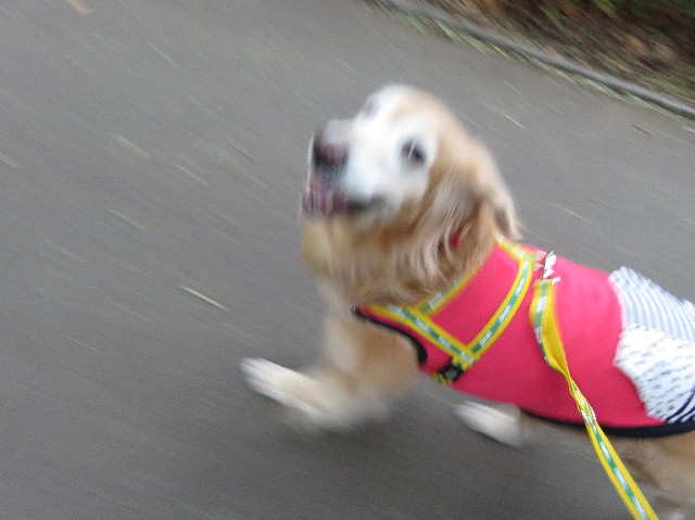 ファイル 5389-1.jpg